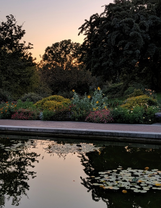 Sunset Garden, a photo by LensMoments by Nichole Spates (c) 2019 prints available on Society6